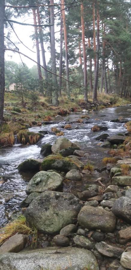 Casa Rural Los 7 Pinos De Gredos Наварредонда-де-Ґредос Екстер'єр фото